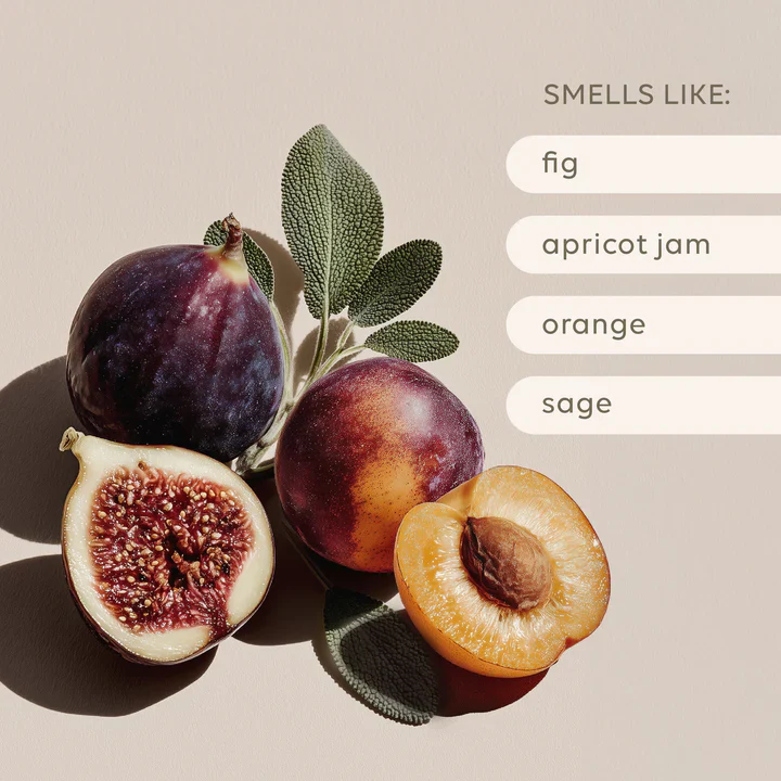 Al.ive Body - Soy Candle - Apricot & Sweet Fig - Image 3