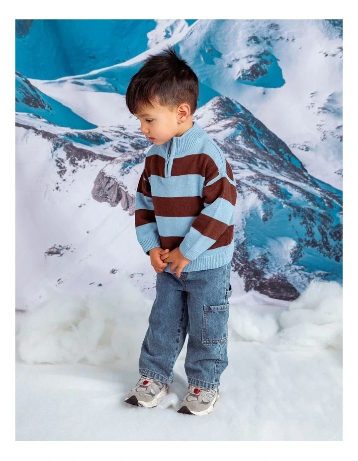 Animal Crackers - Orbit 1/4 Zip Knit - Stripe