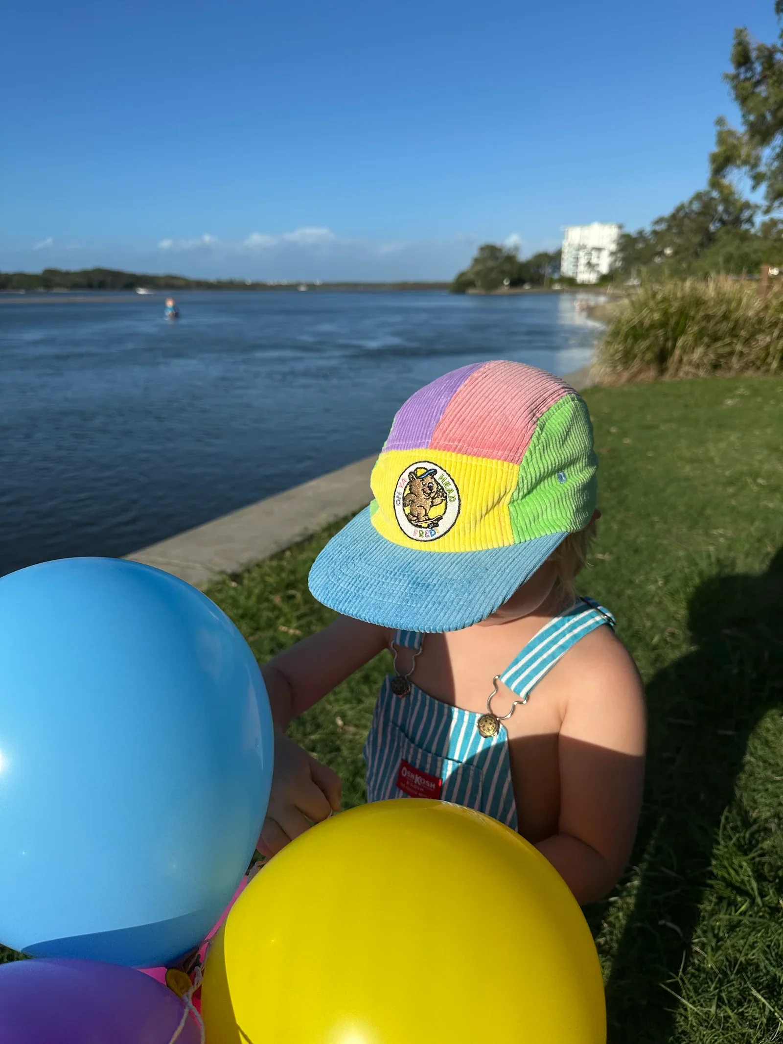 On Ya Head Fred - The Fairy Floss